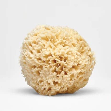 Large Natural Bath Sea Sponge 4.5” - 5” (Wool): irregular oval shape, natural beige color, porous texture